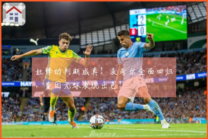 杜锋的判断成真！麦考尔全面回归，奎因无球表现出色！
