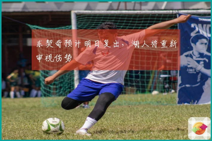 东契奇预计明日复出，湖人将重新审视伤势